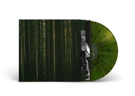 The Paper Kites - Evergreen Vinyl Vinyl