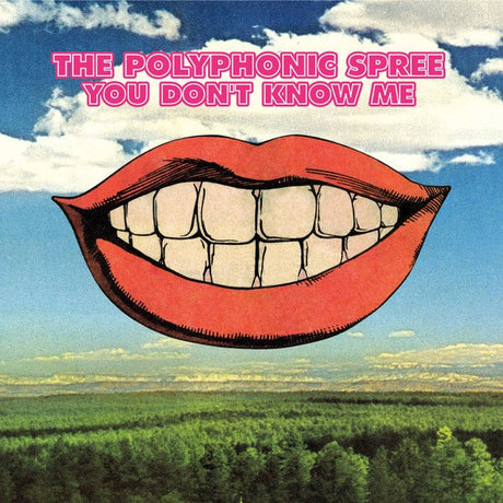 The Polyphonic Spree - You Don't Know Me Vinyl Vinyl