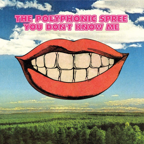 The Polyphonic Spree - You Don't Know Me Vinyl Vinyl