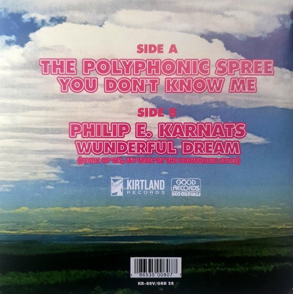 The Polyphonic Spree - You Don't Know Me Vinyl Vinyl