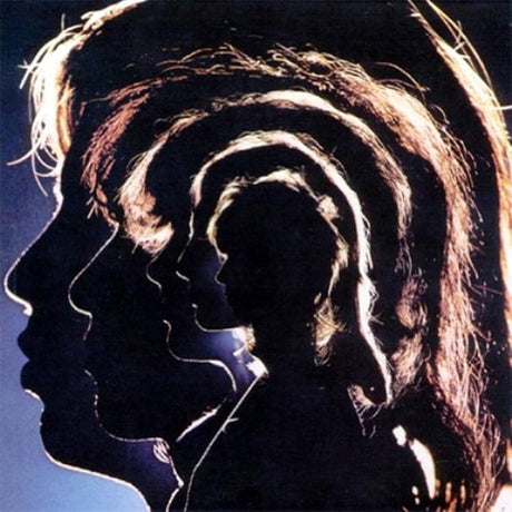 The Rolling Stones - Hot Rocks 1964 - 1971 Vinyl Vinyl