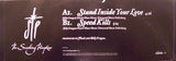The Smashing Pumpkins - Stand Inside Your Love Vinyl Vinyl