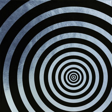 The Smashing Pumpkins - The Aeroplane Flies High CD Vinyl