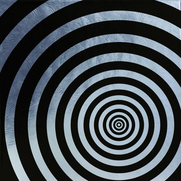 The Smashing Pumpkins - The Aeroplane Flies High CD Vinyl