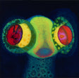 Thee Oh Sees - SORCS 80 Vinyl Vinyl