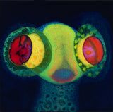 Thee Oh Sees - SORCS 80 Vinyl Vinyl