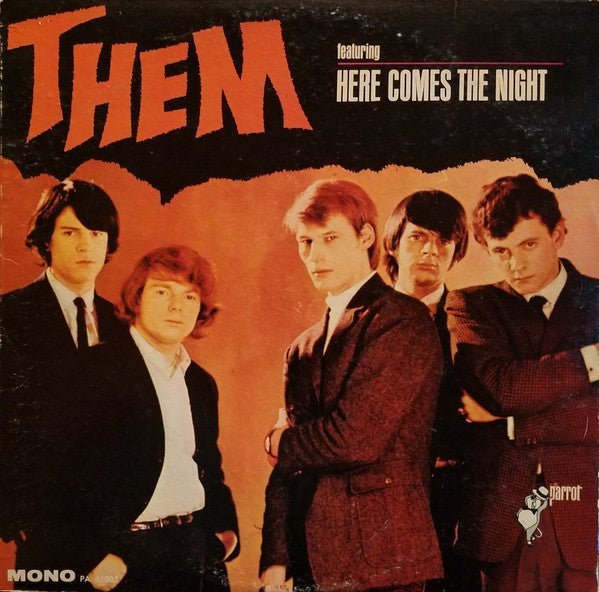 Them - Here Comes The Night Vinyl