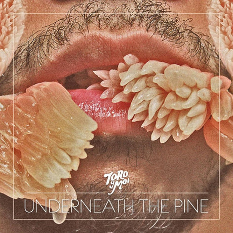 Toro Y Moi - Underneath The Pine Vinyl Vinyl