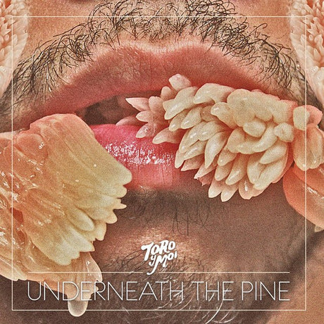 Toro Y Moi - Underneath The Pine Vinyl Vinyl