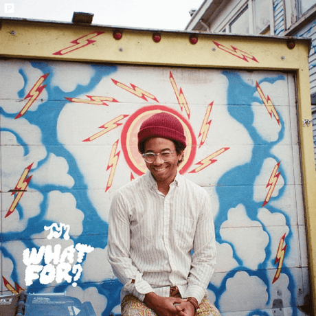 Toro Y Moi - What For? Vinyl Vinyl