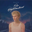 Troye Sivan - Blue Neighbourhood result 35