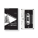 Unwound - The Future Of What Cassette Vinyl