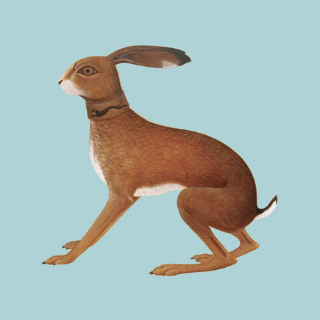 Vashti Bunyan - Lookaftering - Expanded Edition Vinyl Vinyl