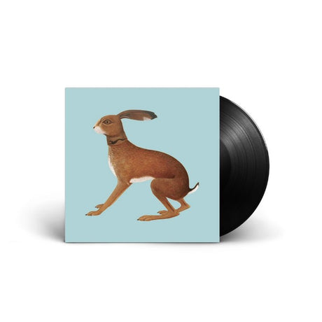 Vashti Bunyan - Lookaftering Vinyl Vinyl