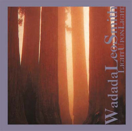 Wadada Leo Smith - Light Upon Light CD Vinyl