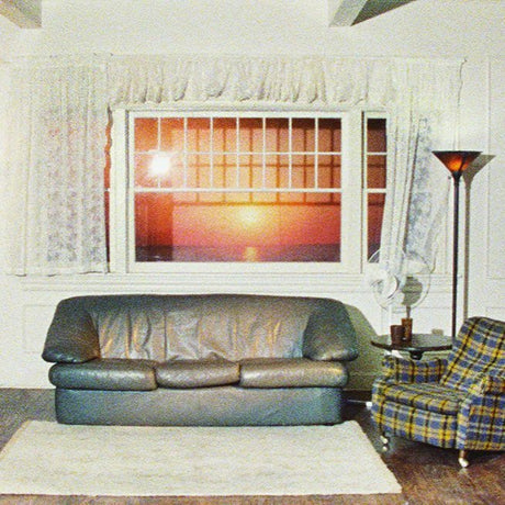 Wallows - Model Vinyl