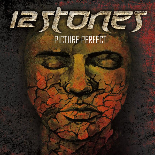 12 Stones - Picture Perfect Vinyl