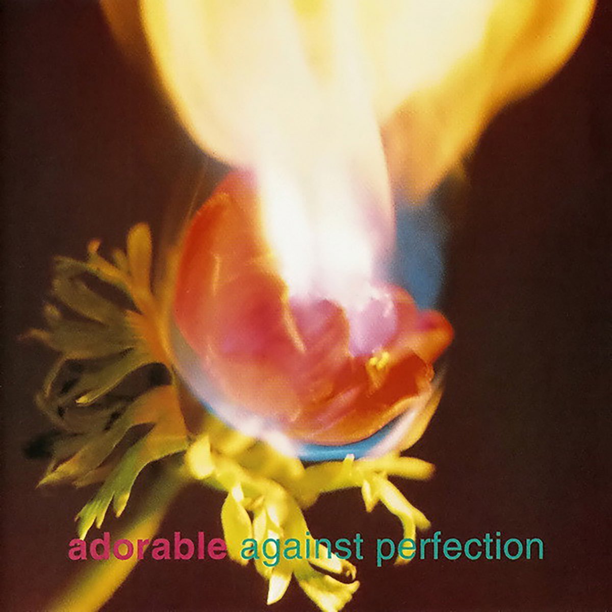 Adorable - Against Perfection - Saint Marie Records