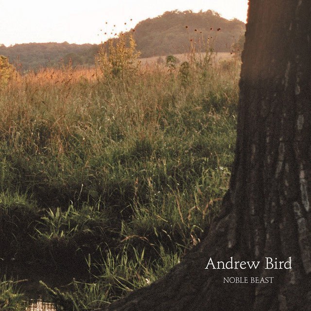 Andrew Bird - Noble Beast Records & LPs Vinyl