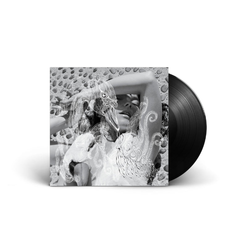 Björk - Vespertine Vinyl