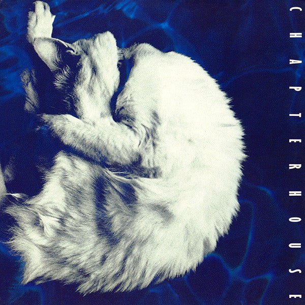 Chapterhouse - Whirlpool Vinyl