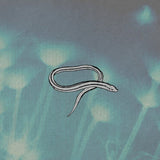 Crooked Fingers - Bring On The Snakes Vinyl