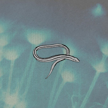 Crooked Fingers - Bring On The Snakes Vinyl