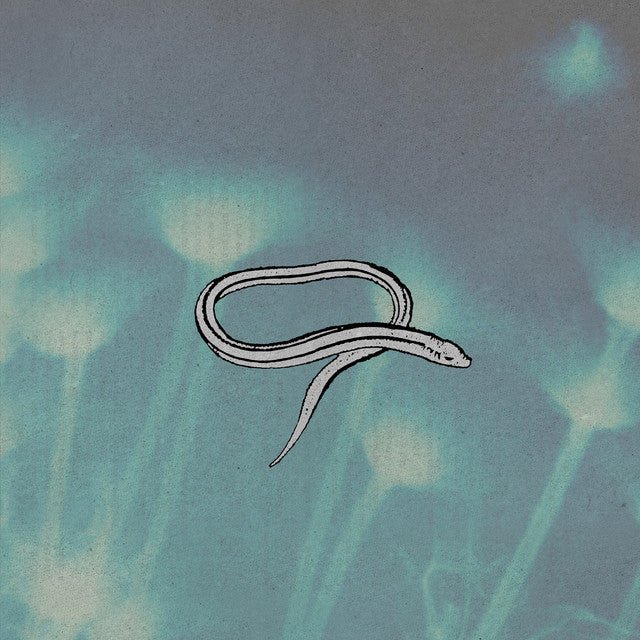 Crooked Fingers - Bring On The Snakes Vinyl