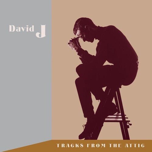 David J - Tracks From The Attic (RSDbf) Vinyl
