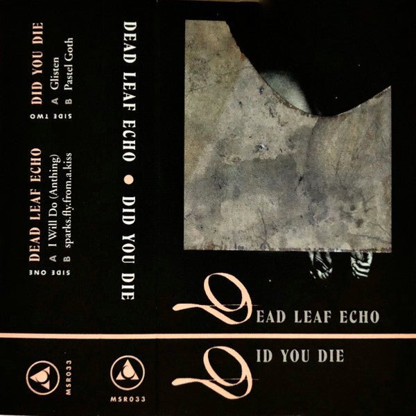 Dead Leaf Echo / Did You Die - Dead Leaf Echo / Did You Die Music Cassette Tapes Vinyl