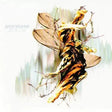 Download ‎- FiXeR Records & LPs Vinyl