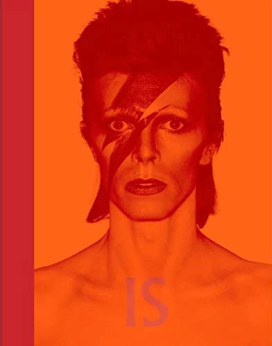Dvid Bowie: IS Vinyl