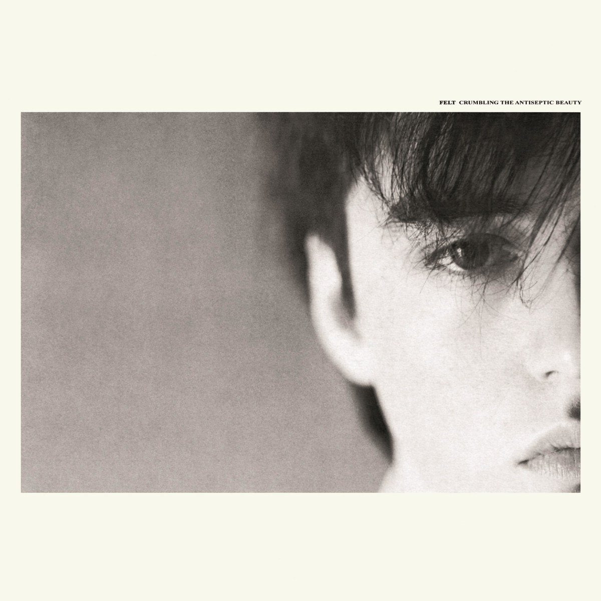 Felt - Crumbling The Antiseptic Beauty Records & LPs Vinyl