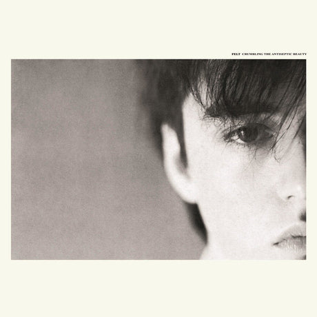 Felt - Crumbling The Antiseptic Beauty Records & LPs Vinyl