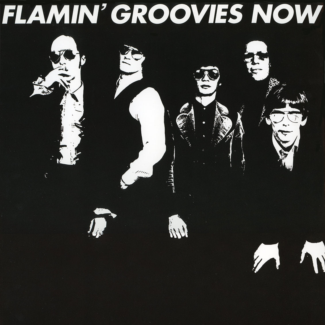 Flamin' Groovies - Now Vinyl