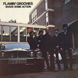 Flamin' Groovies - Shake Some Action Vinyl