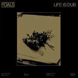 Foals - Life Is Dub Vinyl