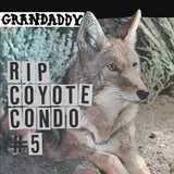 Grandaddy - RIP Coyote Condo #5 Records & LPs Vinyl