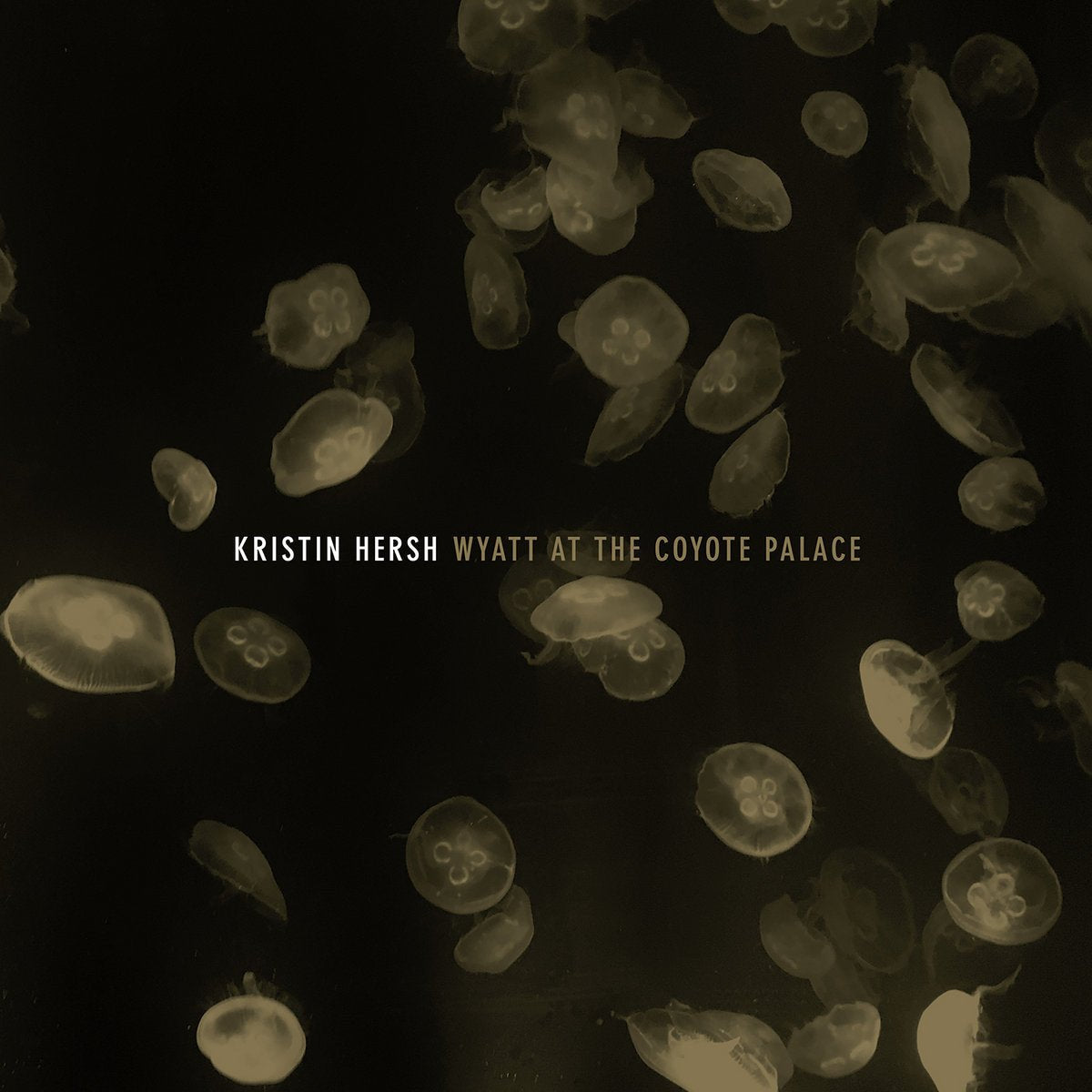 Kristin Hersh - Wyatt At The Coyote Palace Records & LPs Vinyl
