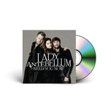 Lady Antebellum - Need You Now Vinyl