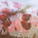 L'Altra - In The Afternoon Records & LPs Vinyl