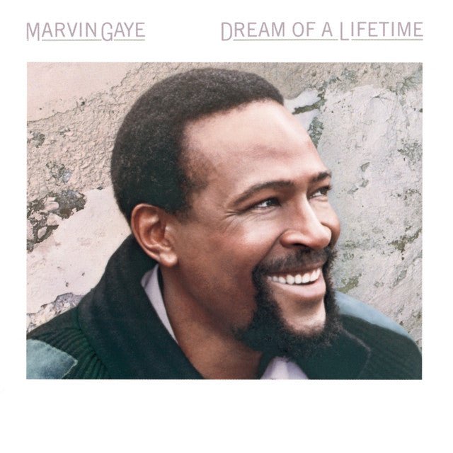 Marvin Gaye - Dream Of A Lifetime Vinyl