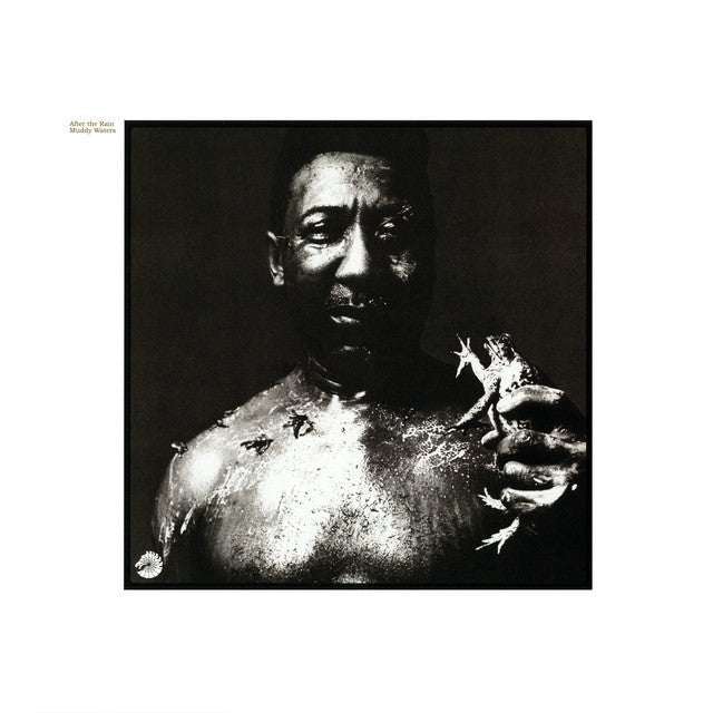 Muddy Waters - After The Rain Vinyl