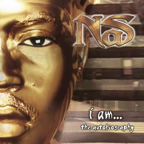NAS - I Am... The Autobiography Vinyl