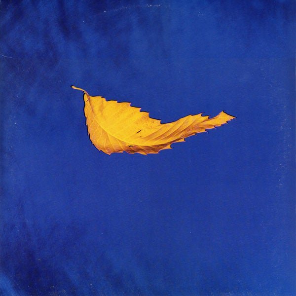 New Order - True Faith / 1963 Vinyl