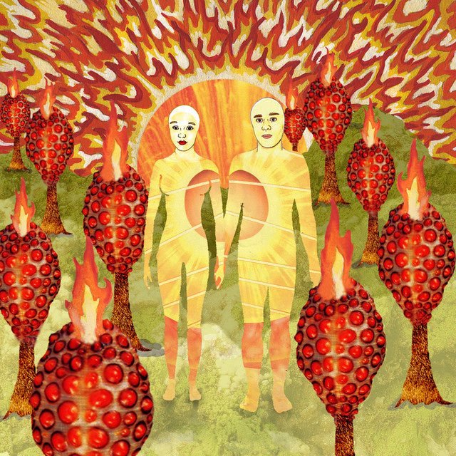 Of Montreal - The Sunlandic Twins Vinyl