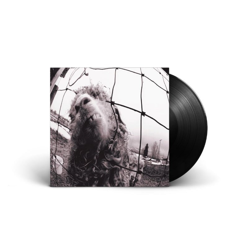 Pearl Jam - Vs. Vinyl