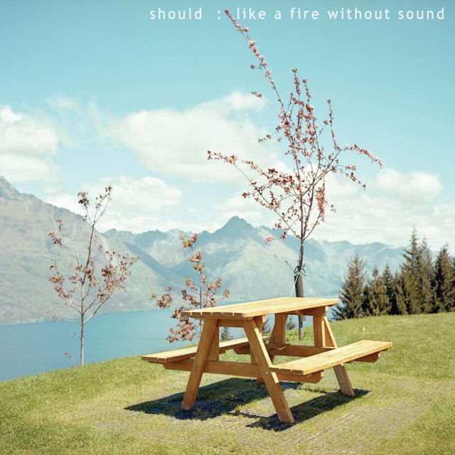 Should - Like A Fire Without Sound Music CDs Vinyl