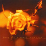 Soul Whirling Somewhere - The Great Barrier Music CDs Vinyl