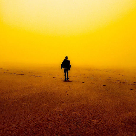 SPC ECO - 6月LP June LP Records & LPs Vinyl